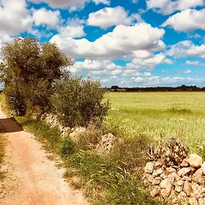 Casa vacanze Arthouse Mit Haus Galeria 110qm Und Appartementhaus Mit Patio 30qm, Campos (Mallorca)